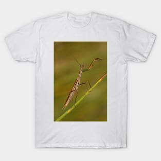 "Lets do the timewarp again" Praying Mantis T-Shirt